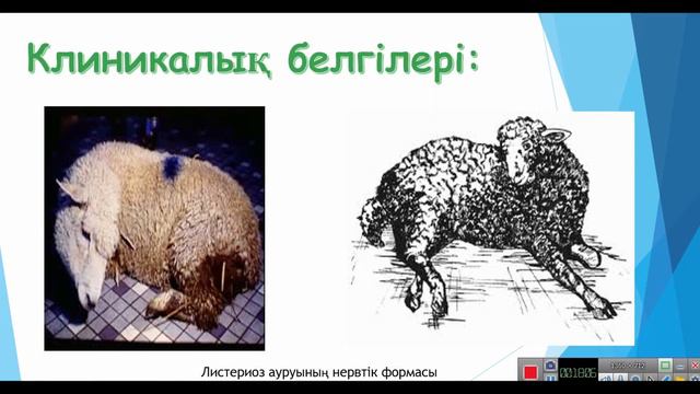 Талдықорған агро-техникалық колледжі Мухамадиева Г.М. смотреть онлайн