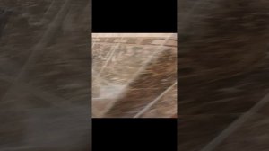 Реконструкция каркасного дома с благоустройством территории.