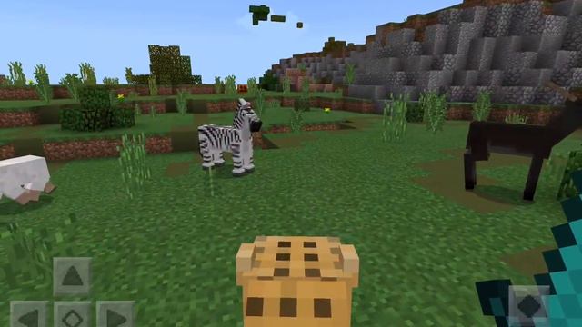 The Minecraft wild life savannah adventure - with Brooke Gamer смотреть онлайн