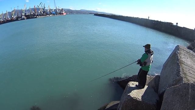 Форель из Сочи ловим в Туапсе. Халявы уже нет, клев слабый. смотреть онлайн