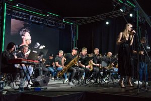 Саксофон Баритон D.Krenz 972 Gold