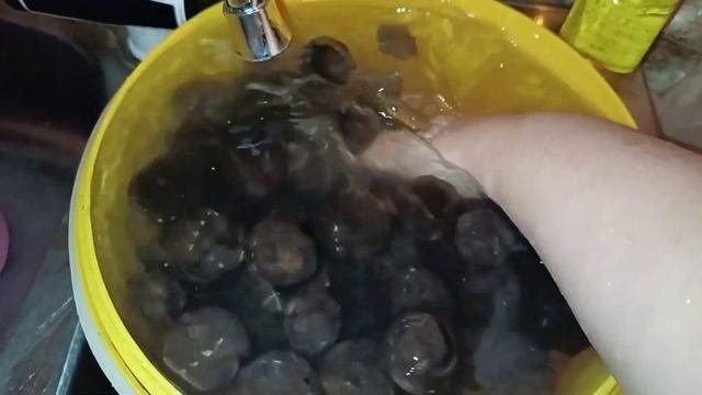 ԸՆԿՈՒՅԶԻ ՄՈՒՐԱԲԱ