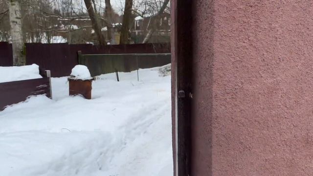 Переезд с лошадьми на дачу
