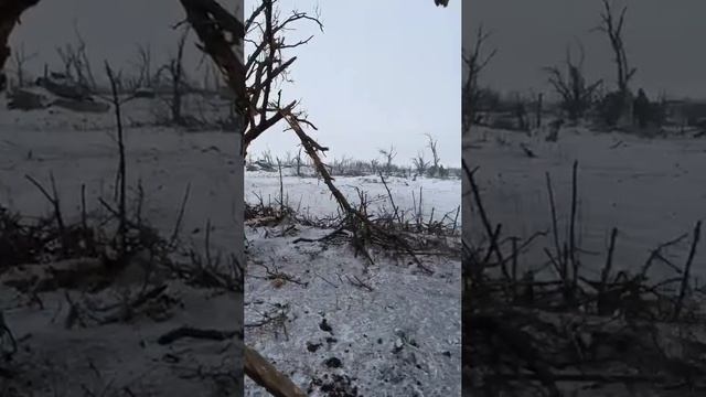 Видео от врага. Работа  БМП «Bradley» по позициям ВС РФ