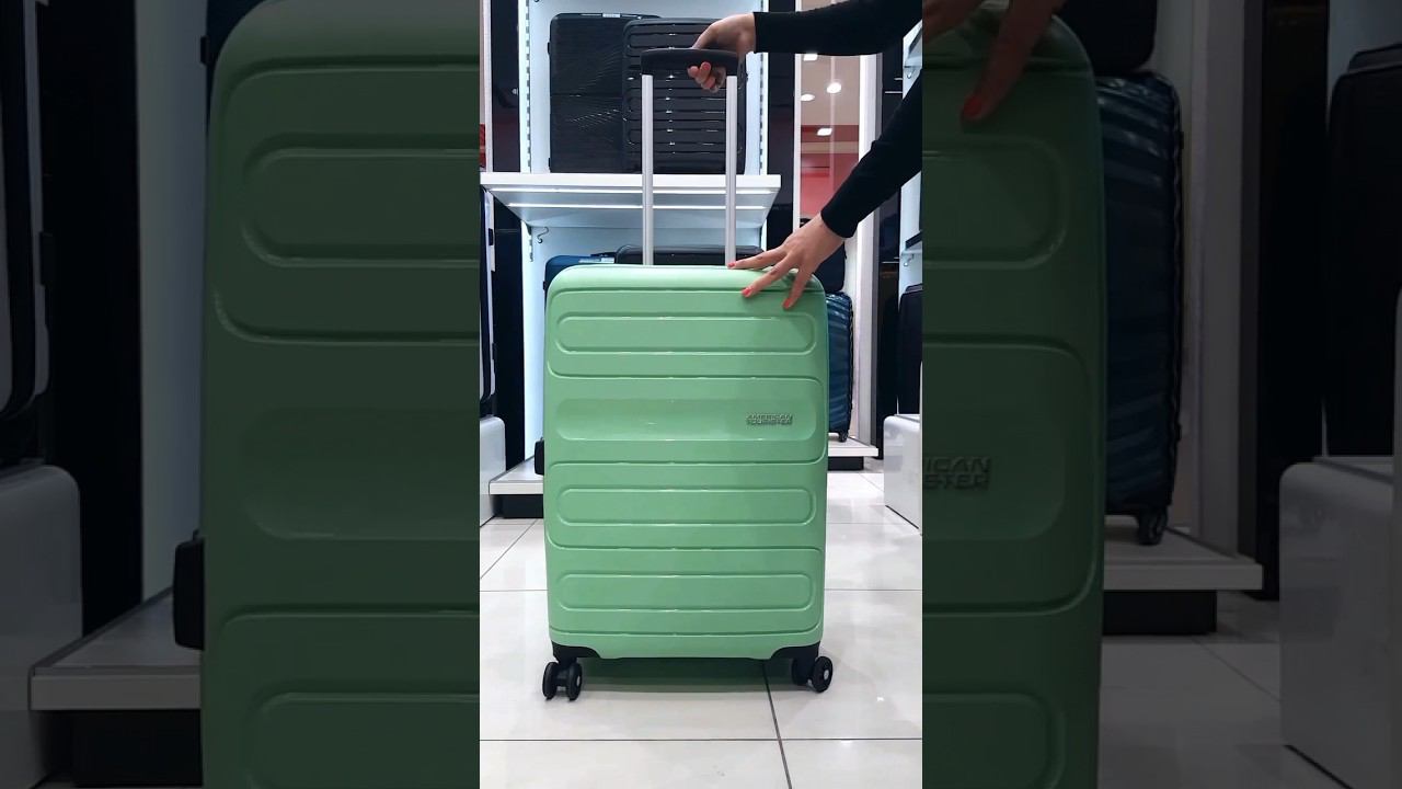 Багаж для яркой поездки