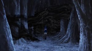 20 лет Наруто   ROAD OF NARUTO
