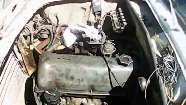 успокоителя цепи смотреть онлайн