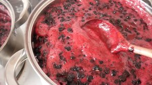 4 способа, как ЗАГОТОВИТЬ ВПРОК ЧЕРНИКУ с максимальным сохранением витамин.