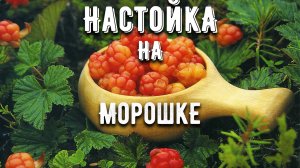 Настойка на морошке! Очень вкусный десертный напиток!