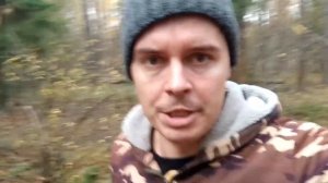 О заготовке ДРОВ, Закон о "валежнике". Быстрые ответы на сложные вопросы. Без штрафов и проблем