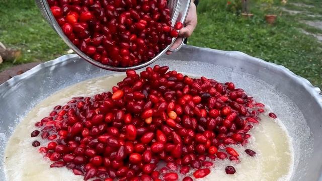 HARVESTING 44 KG CORNUS! COOKING CORNEL JAM AND COMPOTE! RELAXING RURAL VILLAGE смотреть онлайн