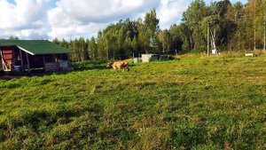 МЫ ВСЕ В ТРУДАХ ПРАВЕДНЫХ