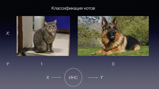Теория программы.  Функция Прямой Путь