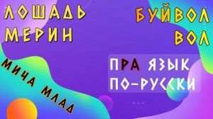 Слова «ЛОШАДЬ», «ЛОХ», «МЕРИН», «БУЙВОЛ», «ВОЛ»? Этимология слова - праязык