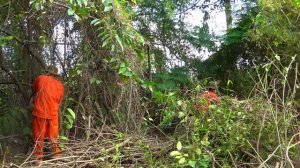 Clean up the abandoned house and overgrown garden that no one has visited for more than 15 years
