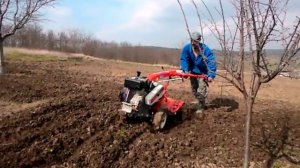 motocultor,мотоблок , motocultivatore, motoazada , tiller kipor kdt 610 la frezat,sapat