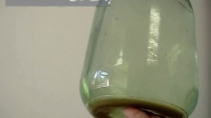 Каменное масло (Бракшун) с Алтая - АлтайМатри