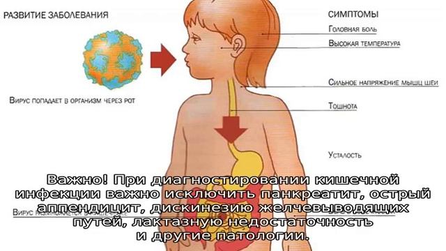 Что такое кишечная инфекция у ребенка — причины, симптомы, лечение смотреть онлайн