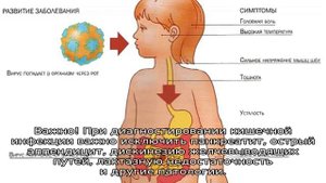 Что такое кишечная инфекция у ребенка — причины, симптомы, лечение
