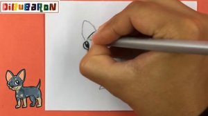 como dibujar un perro chihuahua | Dibujos fáciles