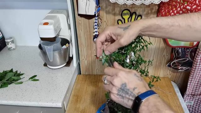 Бонсай из Мирта стиль полукаскад Хан - кенгай.