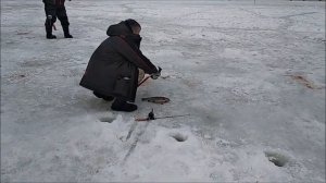 Блесна "семечка и морковка и божья коровка" на запуске в приоритете. Нижний пруд. Клёвое место