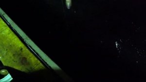 Ловля кальмара в Японском море , от первого лица без монтажа !