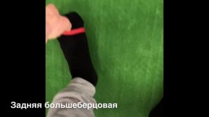 Эксцентрические упражнения для голени и стопы