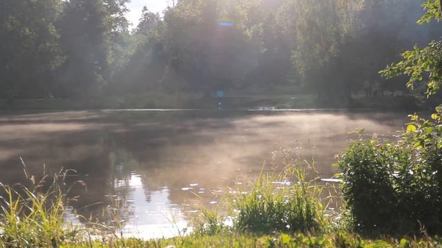 Переезд в Петербург: Парнас, плюсы и минусы жизни в Питере и самый главный совет смотреть онлайн