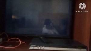 Обзор на dvd диск лунтик сезон 6 выпуск 1 сладкая вата