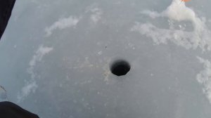 ЭКСПЕРИМЕНТ ! БЕЗНАСАДКА или МЯСО ????