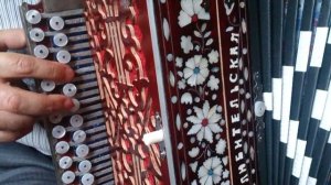 Белоснежная вишня I Гармонь (Игорь Ефремов)