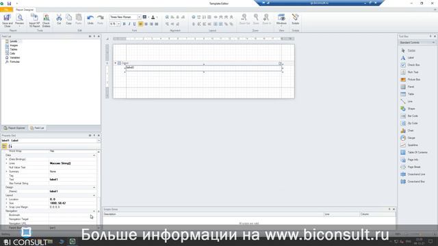 Курс NPrinting ч4 - Начни создавать PixelPerfect отчеты в Qlik Nprinting