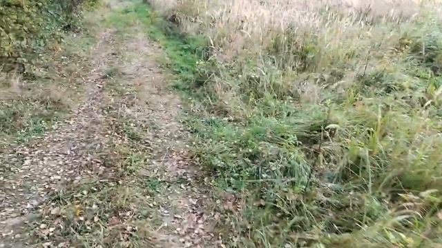 Самое время, я считаю!!! смотреть онлайн