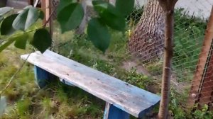 Старинный Дом 19 веков обзор Дома в селе