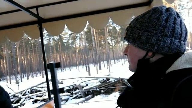 Поездка в конном экипаже по территории Ярославского зоопарка #Ярославль