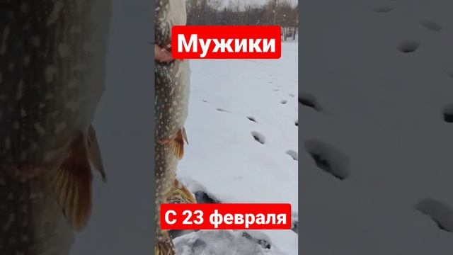 С Праздником 23 февраля!!! смотреть онлайн