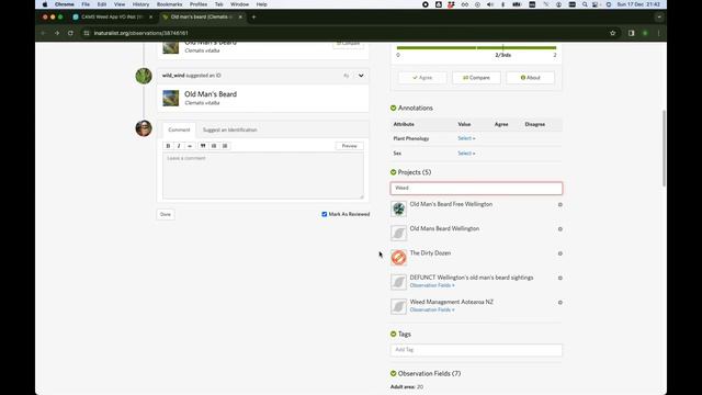 Updating Old Mans Beard status