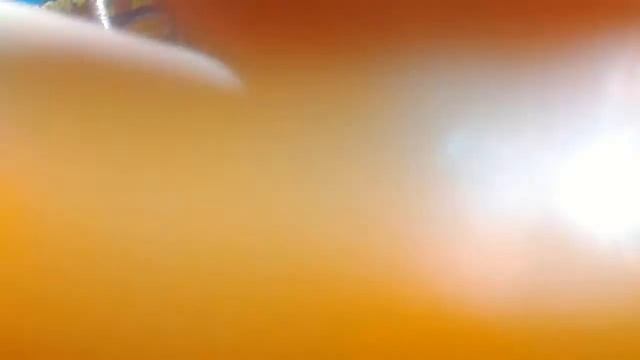 Морские монстры и ко пелекановый угорь и малакост смотреть онлайн