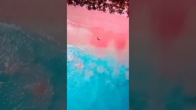 Bahamas Pink Sand Beach | Beauty Of Nature