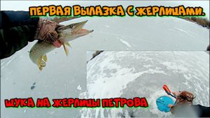 Первая вылазка с жерлицами. Щука на жерлицы Петрова