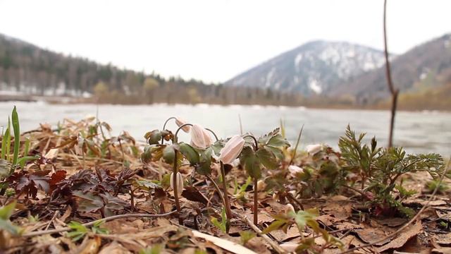 Маленький апрель. смотреть онлайн