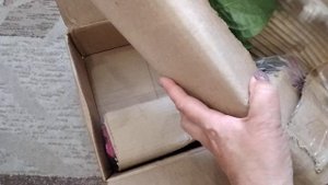 Посылка из питомника Милы с гортензии.