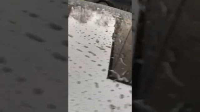 Ауди а4 б6 американка ч.3 смотреть онлайн