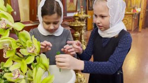 "На приходе" - выпуск 1