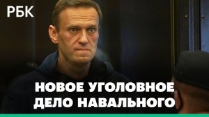 Навальному предъявили обвинение по новому уголовному делу об экстремизме
