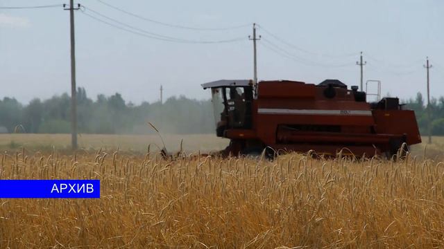 Посевные площади кукурузы увеличат в два раза смотреть онлайн
