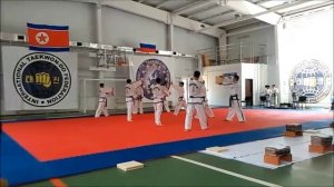 Показательные выступления сборной тэквондо ИТФ КНДР в Сочи 7.06.2015 г. СК "Самбо 70"