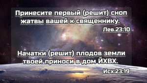 ОЖИВШАЯ ПЛАНЕТА. ЧТО БЫЛО НА САМОМ ДЕЛЕ?