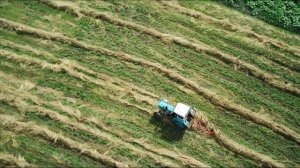 ЮМЗ Заготівля сіна Згрібаємо сіно у валки граблями Сонечко Wirax віракс Стара Гвардія в роботі